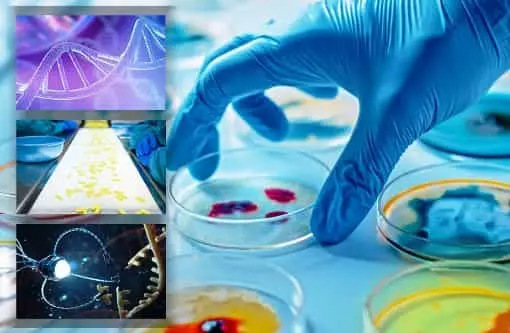 Biotecnología
