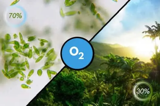 El proveedor mas grande de oxigeno