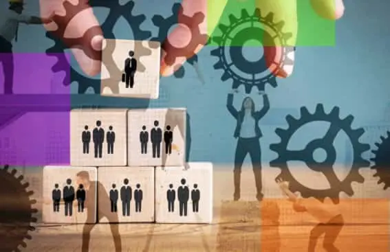 Estructura Organizativa