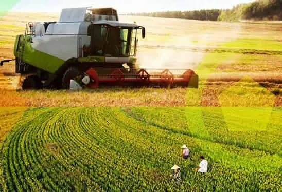 La Agricultura de Especulación