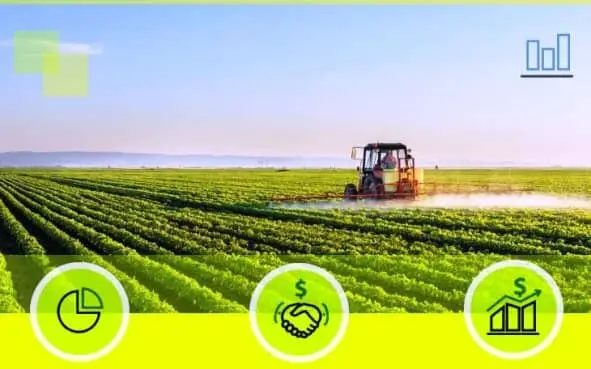 La Agricultura de Mercado