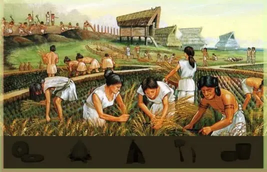 La Revolución Neolítica