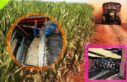 Proceso de Fabricación de la Caña de Azúcar