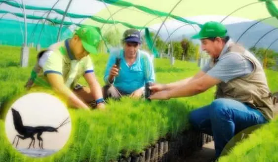 Un Colaborador Natural del Hombre