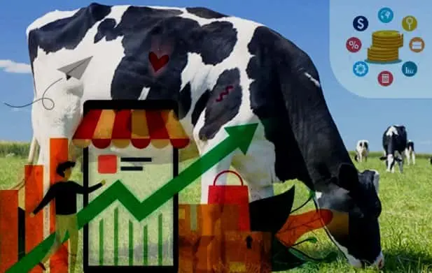 Vaca Lechera